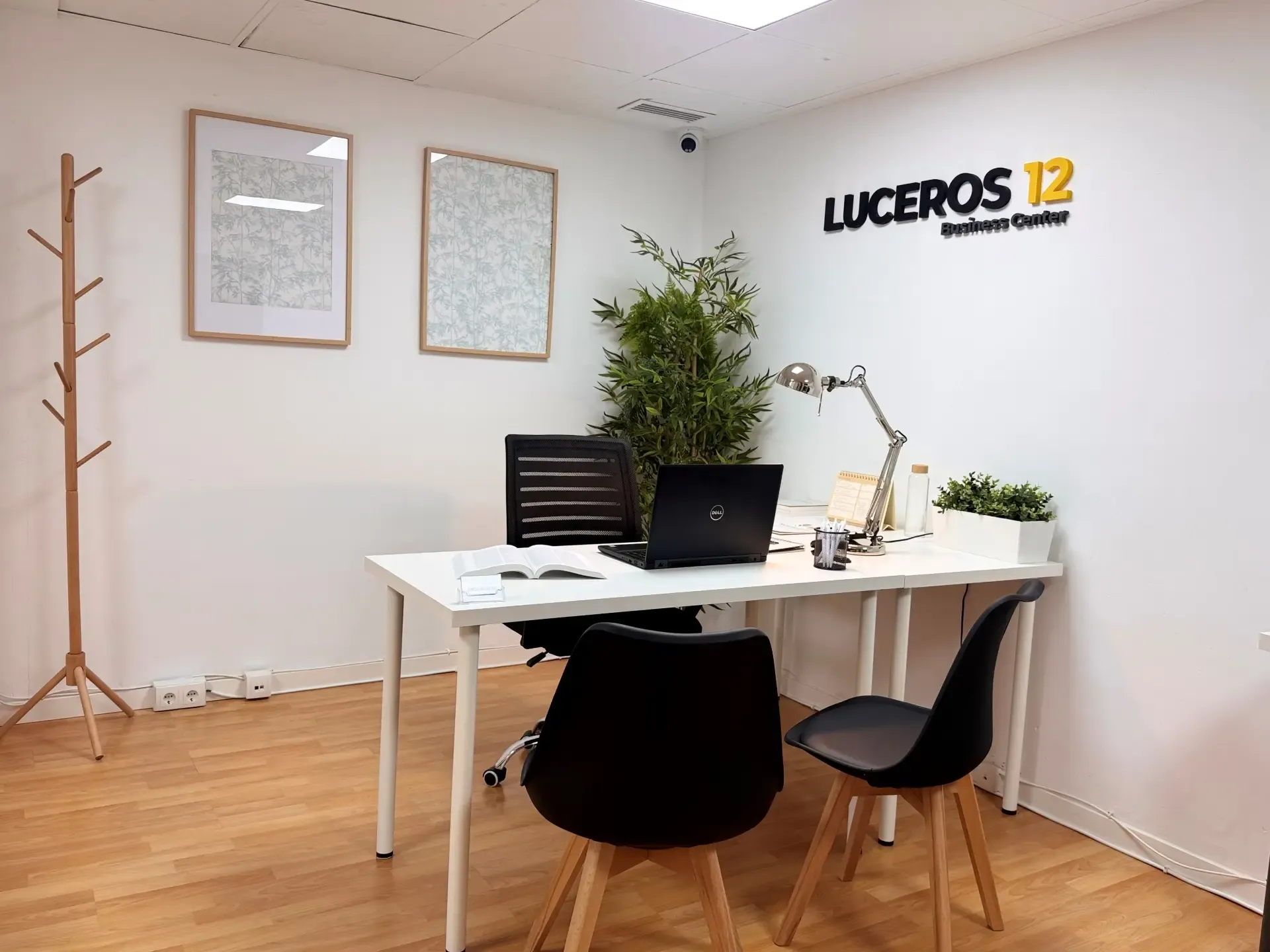 Oficinas y Despachos en el centro de Alicante image 9