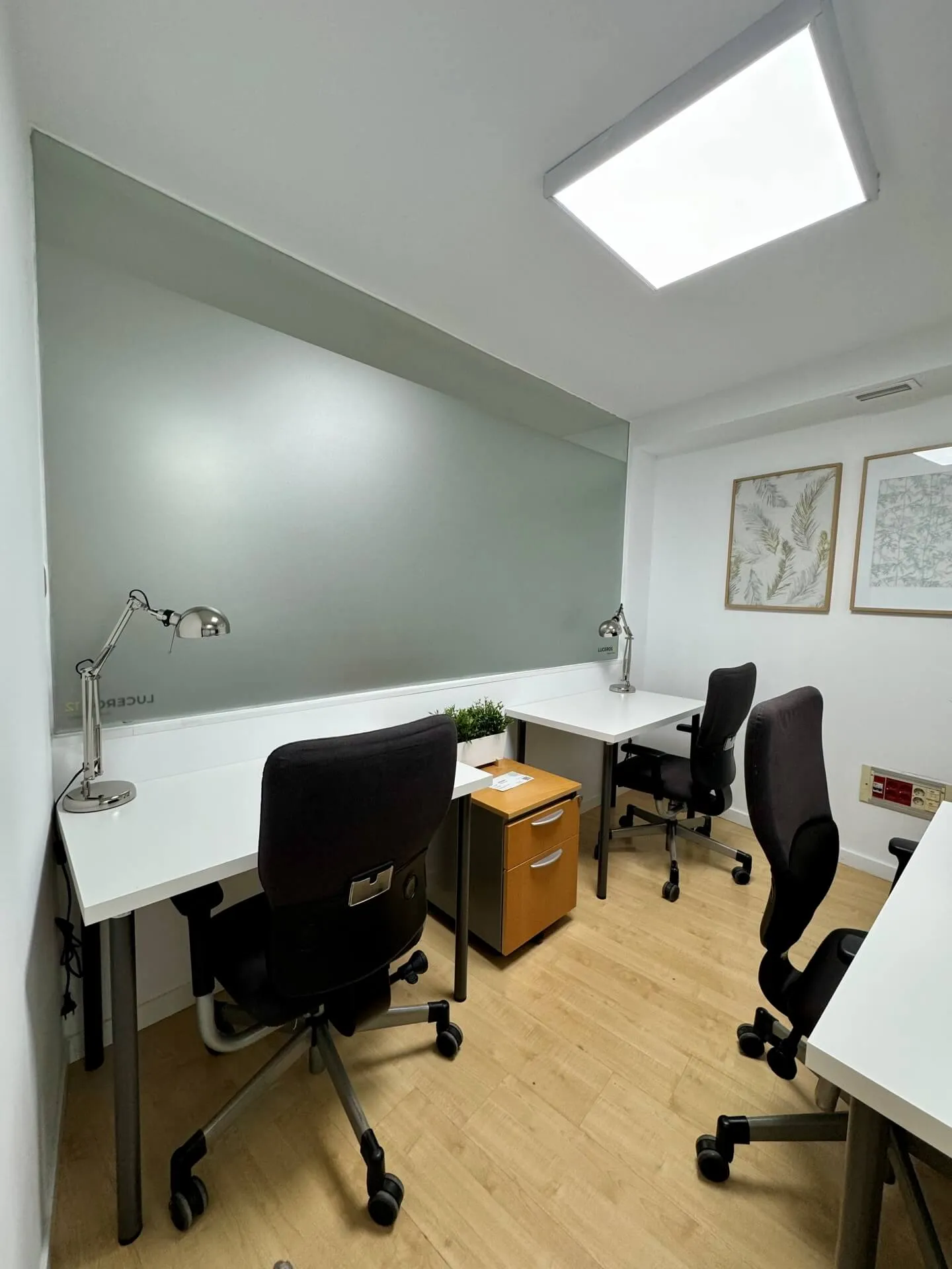 Despacho individual D1 image 6