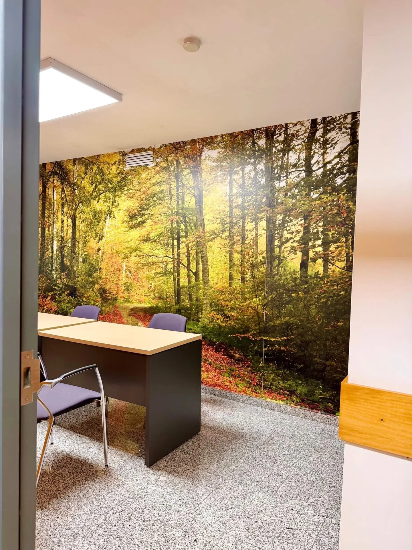 Oficina 'Oberón' image 2